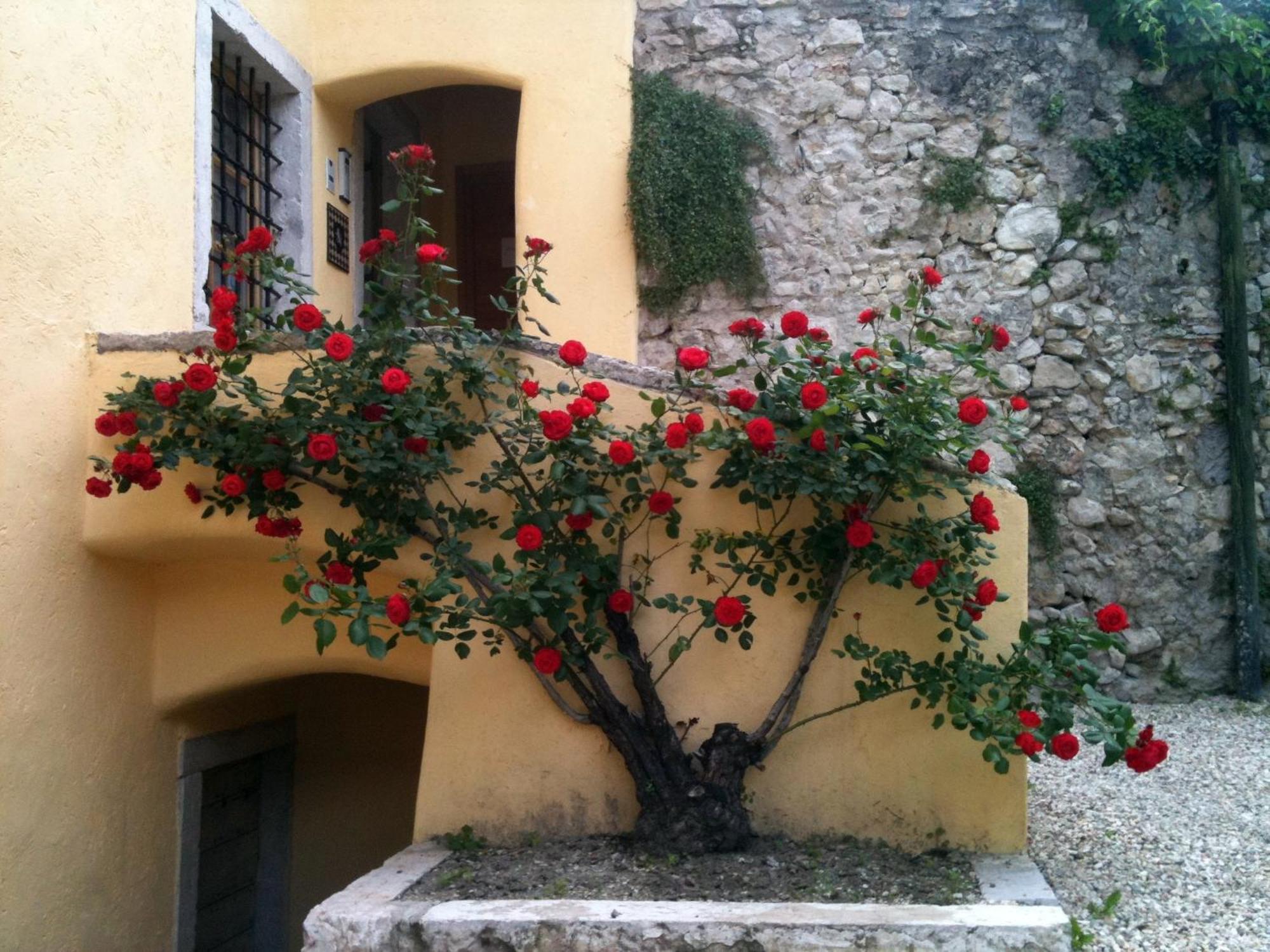 Relais Palazzo Lodron Hotel Rovereto  Exterior foto